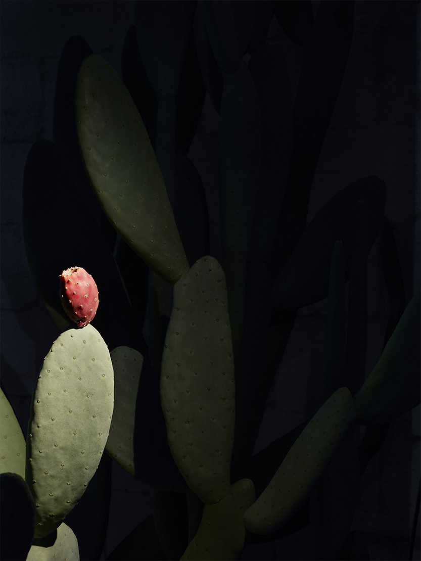 Aimer-Spotlight-flos-outdoor-R-07.jpg