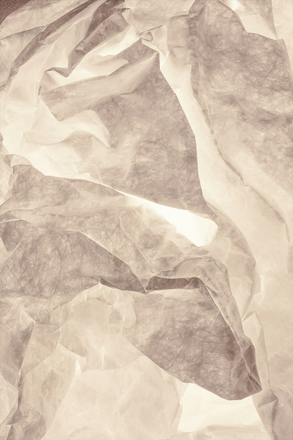 Maap-wall-flos-R-02.jpg