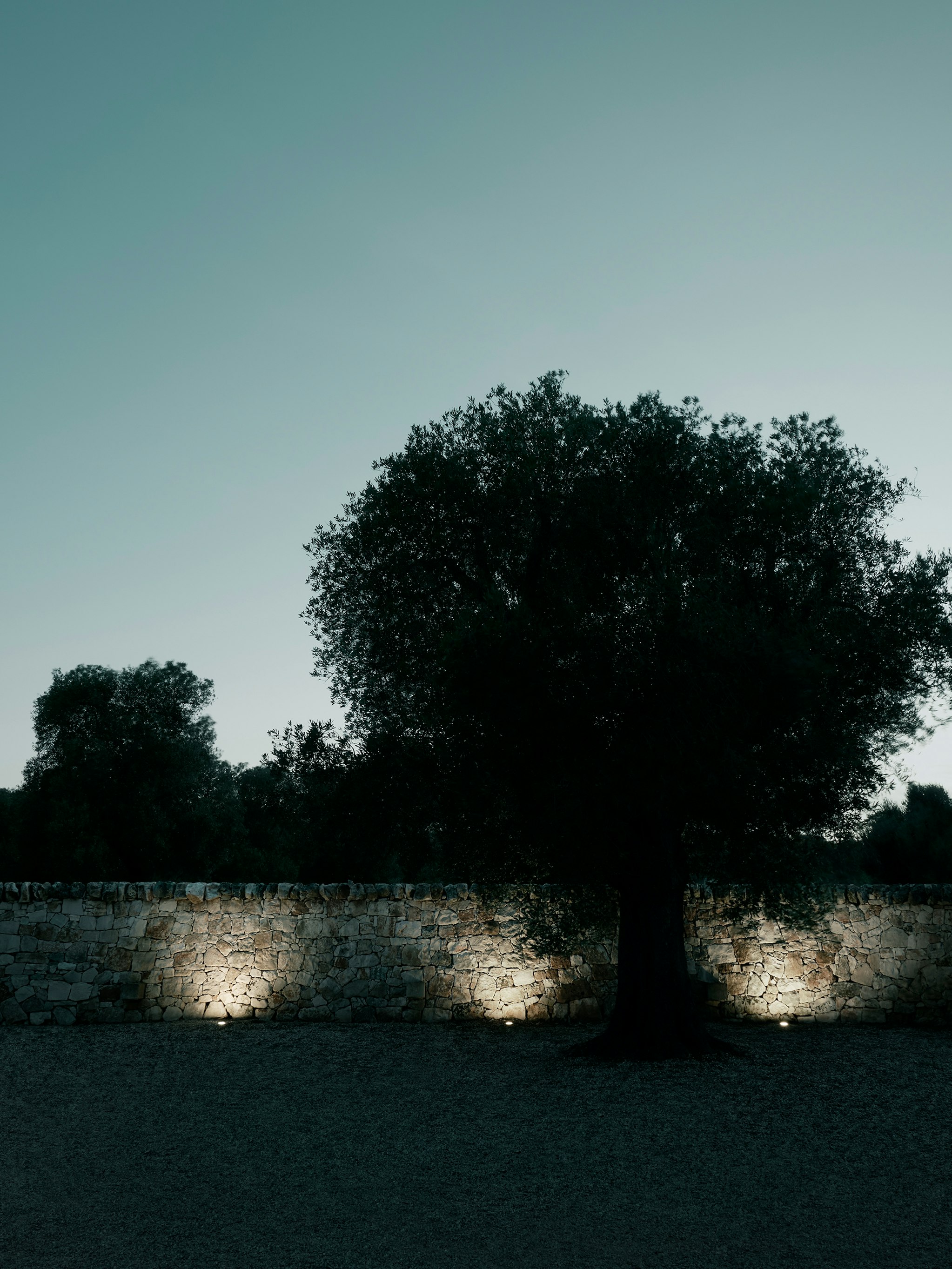 P_Md_F-A-Rise-130-Flos-Outdoor-highlight.jpg