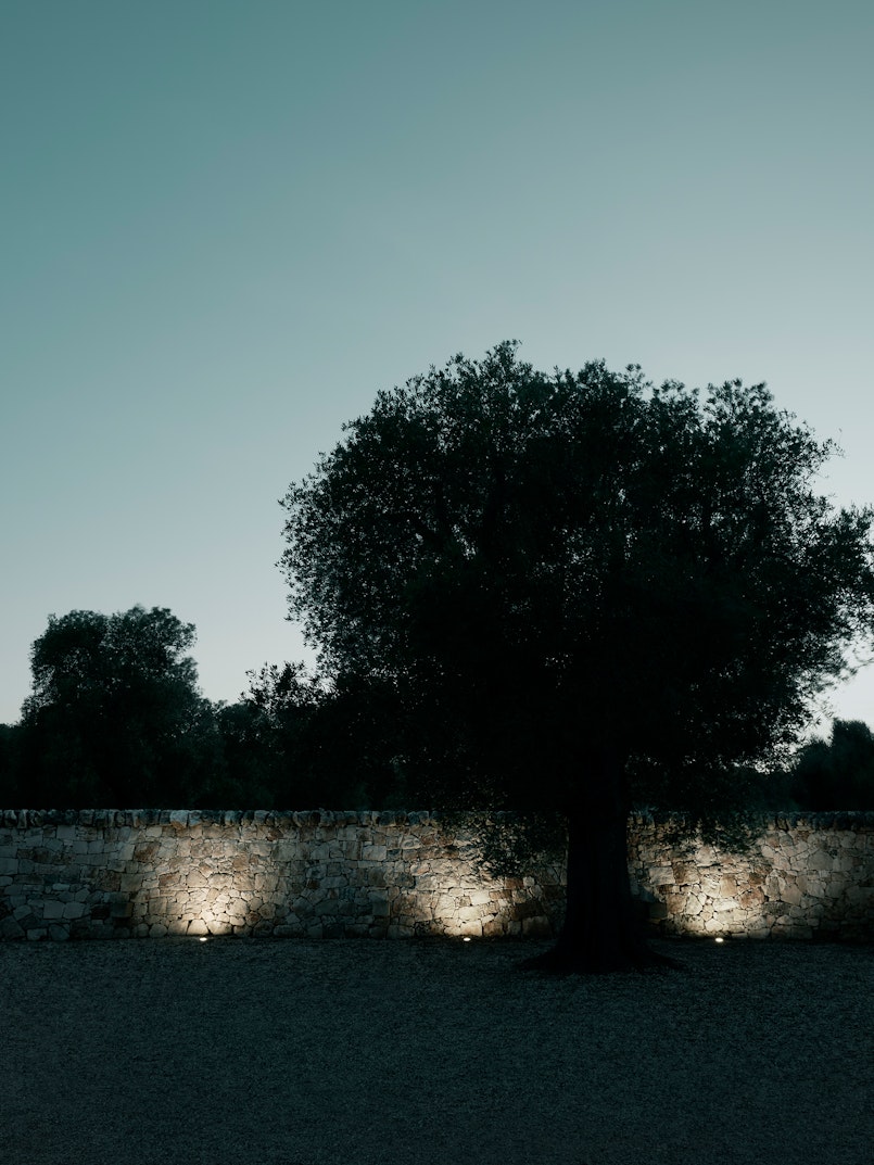P_Md_F-A-Rise-65-Flos-Outdoor-highlight.jpg