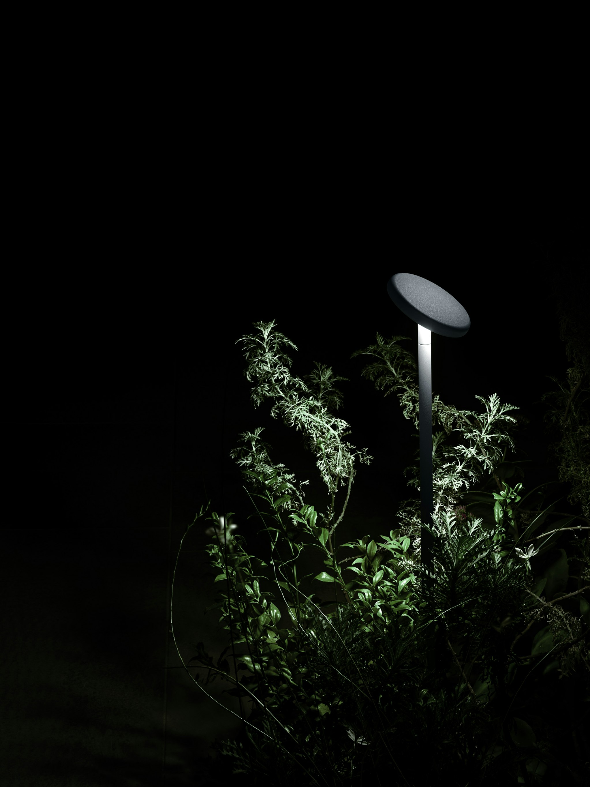 P_Md_F-Landlord-Bollard-Soft-Flos-Outdoor-highlight.jpg