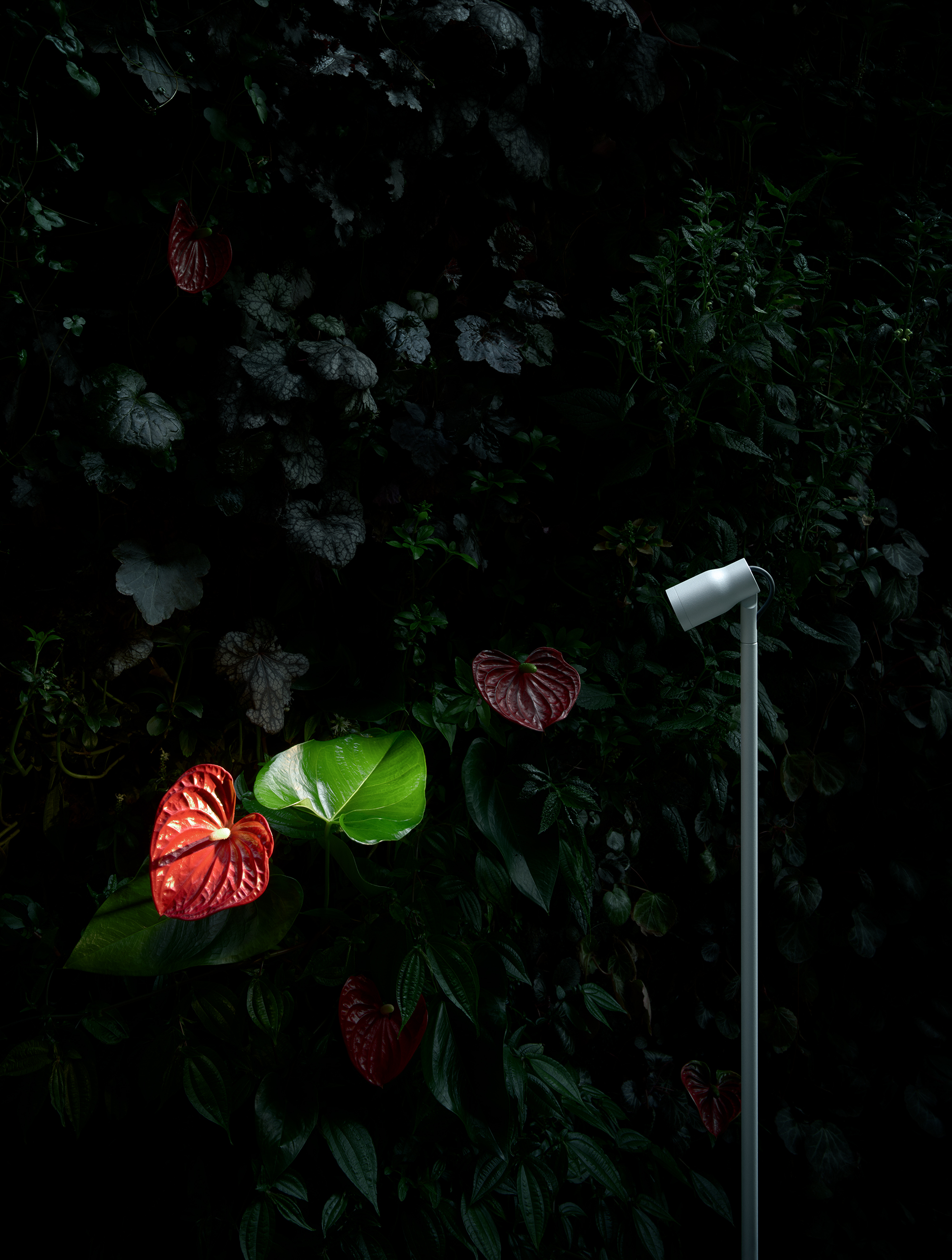 P_Md_F-Landlord-Bollard-Spot-D40-Flos-Outdoor-highlight.jpg