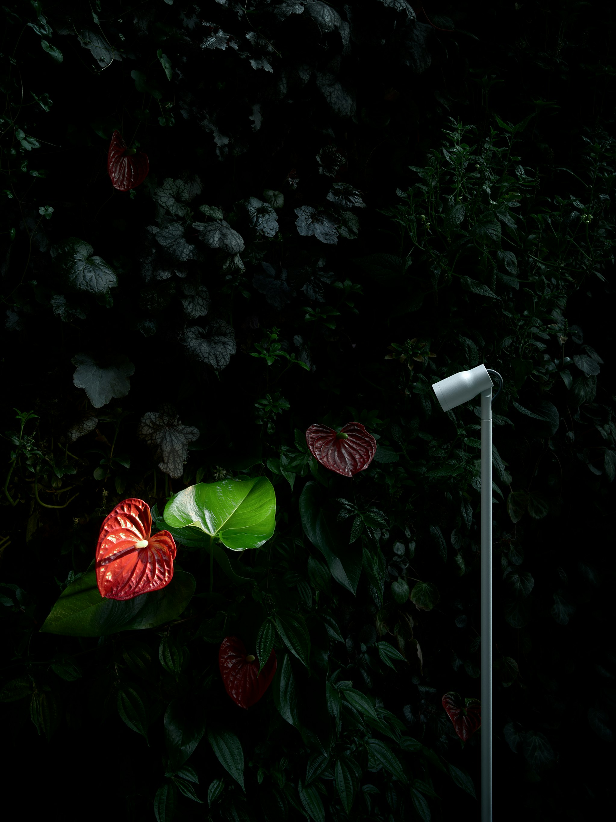 P_Md_F-Landlord-Bollard-Spot-D40-Flos-Outdoor-highlight.jpg