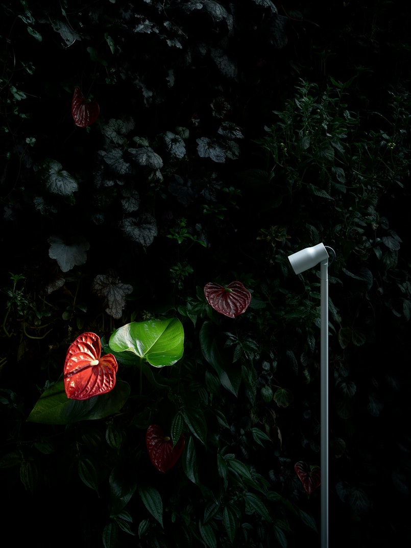 P_Md_F-Landlord-Bollard-Spot-D40-Flos-Outdoor-highlight.jpg