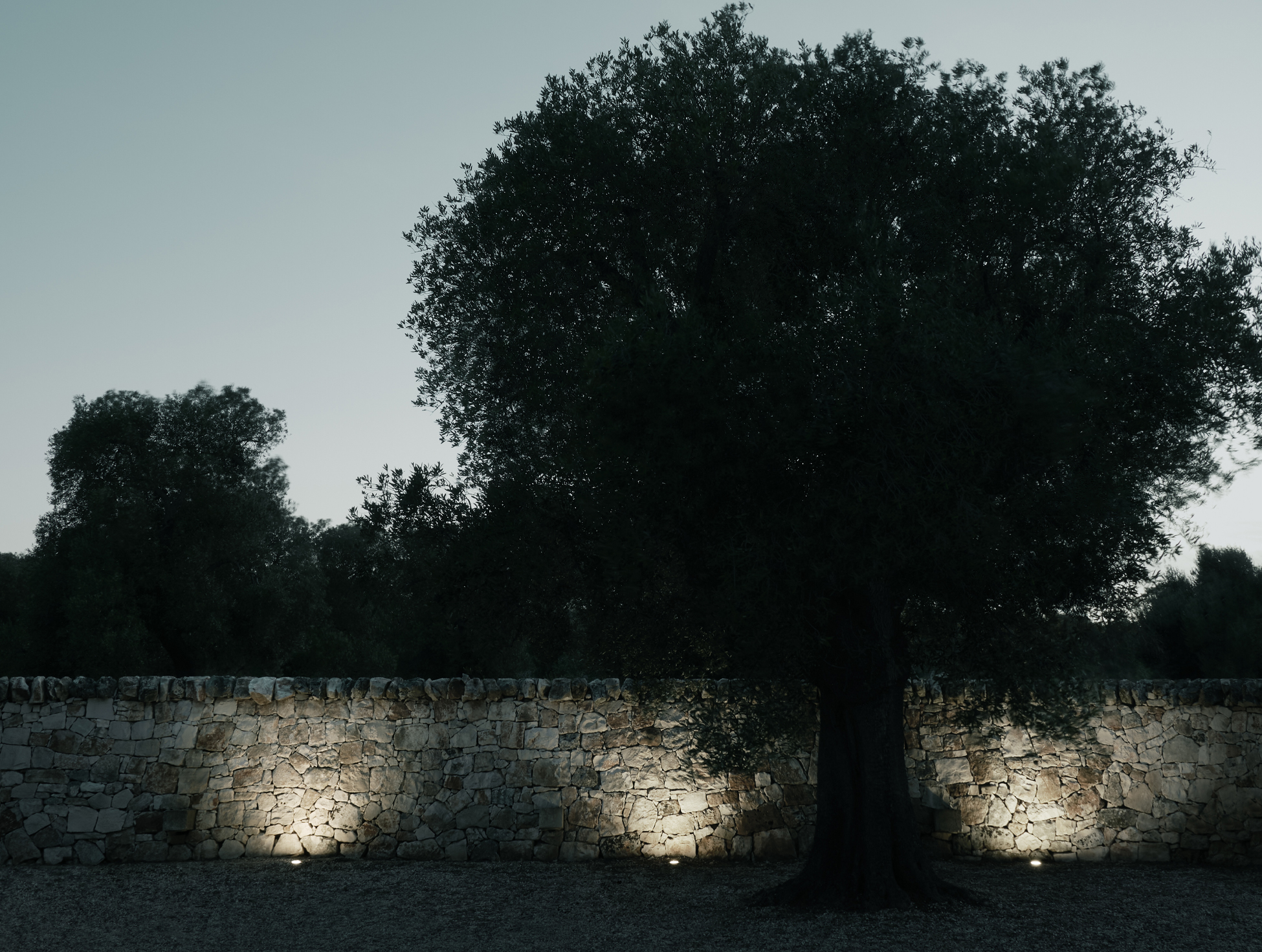 P_Sf_A-A-Rise-In_Ground-Flos-Outdoor-Thubnail-life_general.jpg