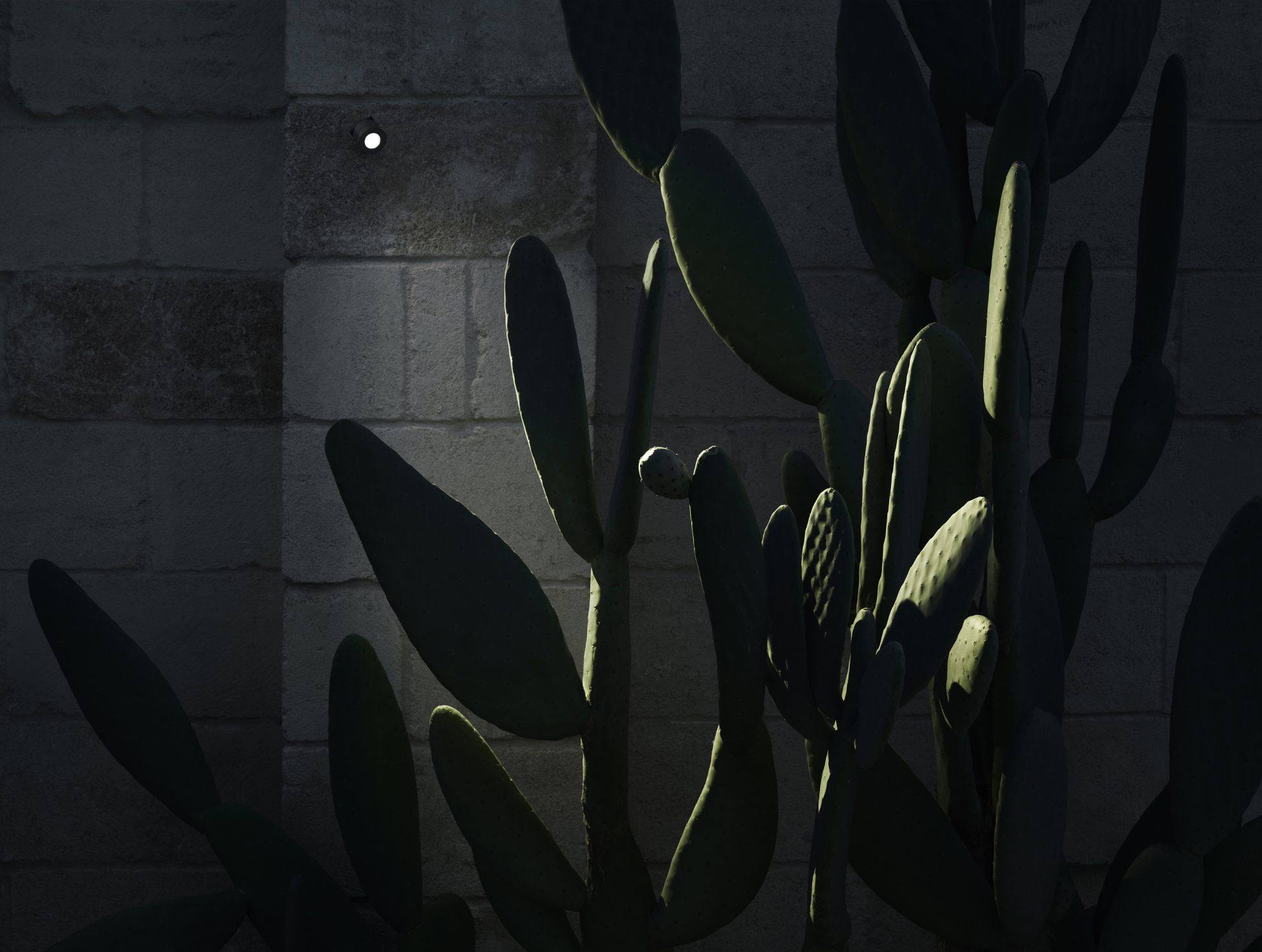 P_Sf_A-Aimer-Wall-Flos-Outdoor-Thubnail-life_general.jpg