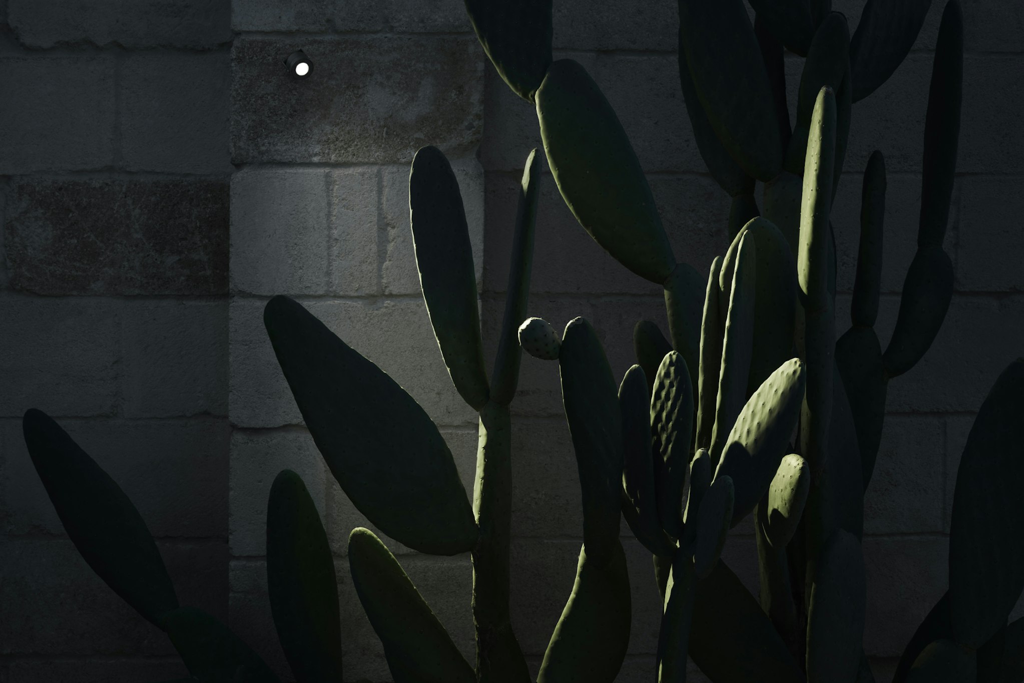 P_Sf_A-Aimer-Wall-Flos-Outdoor-Thubnail-life_general.jpg