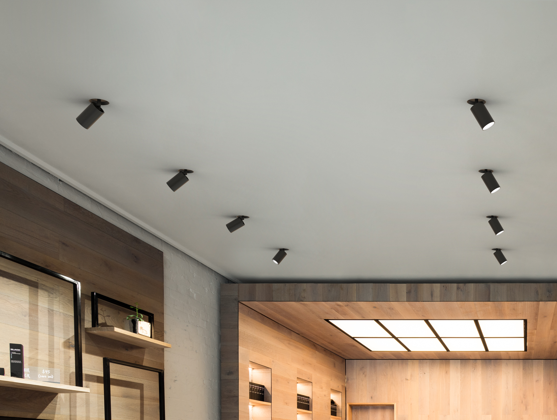 P_Sf_A-UT-Downlight-Flos-Architectural-Thubnail-life_general.jpg
