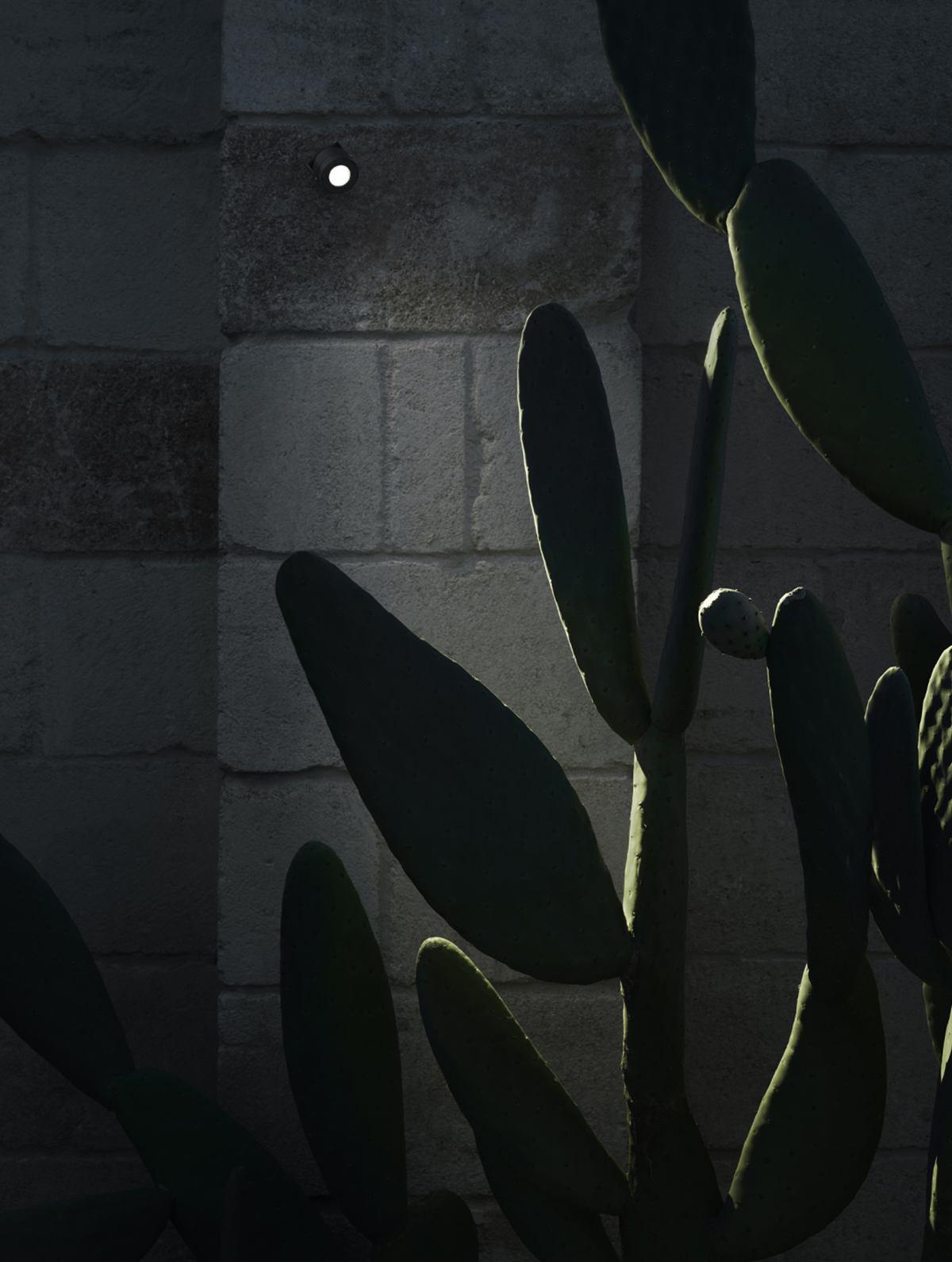 P_Sf_AV-Aimer-Wall-Flos-Outdoor-Thubnail-life_general.jpg