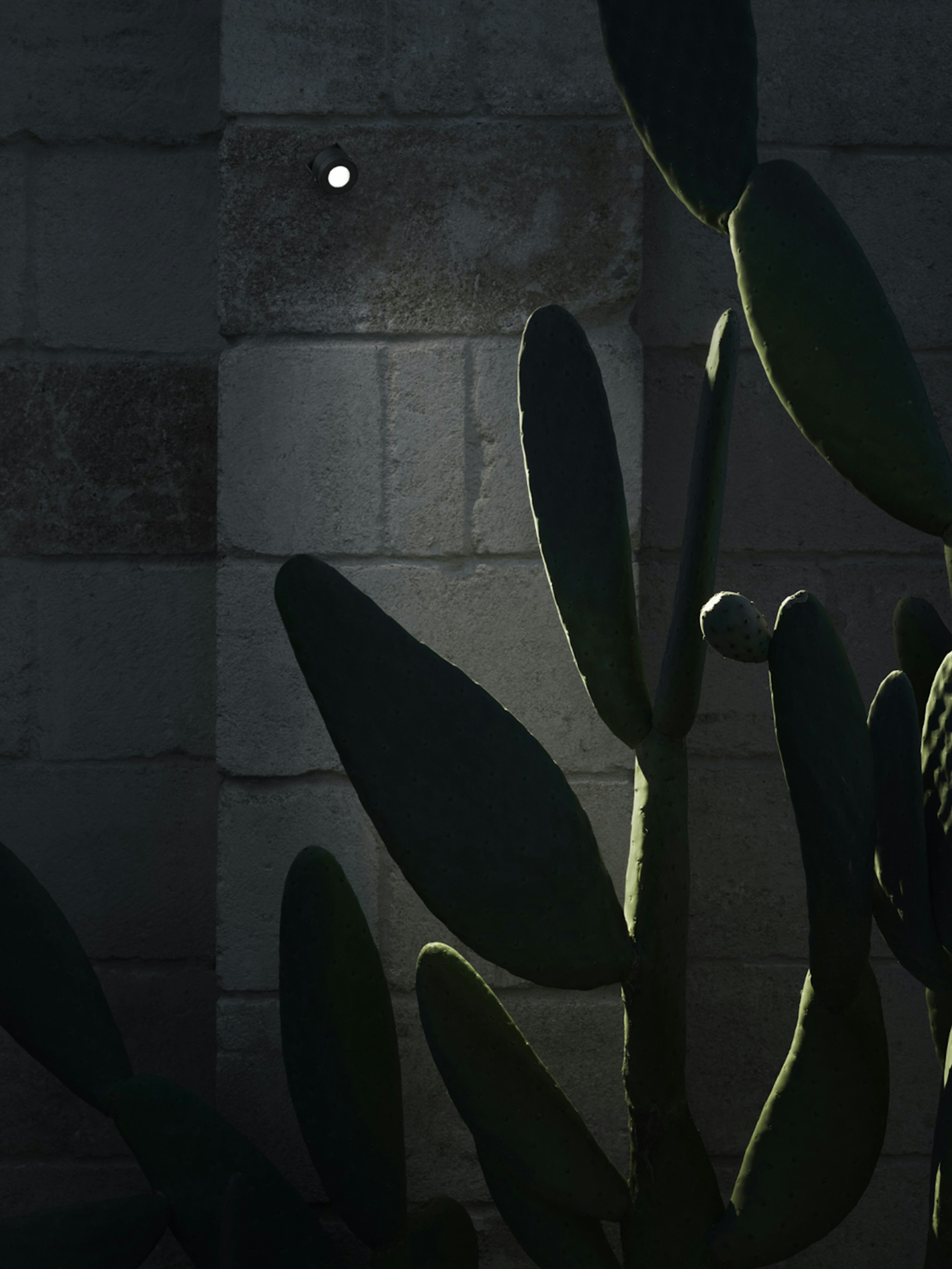 P_Sf_AV-Aimer-Wall-Flos-Outdoor-Thubnail-life_general.jpg