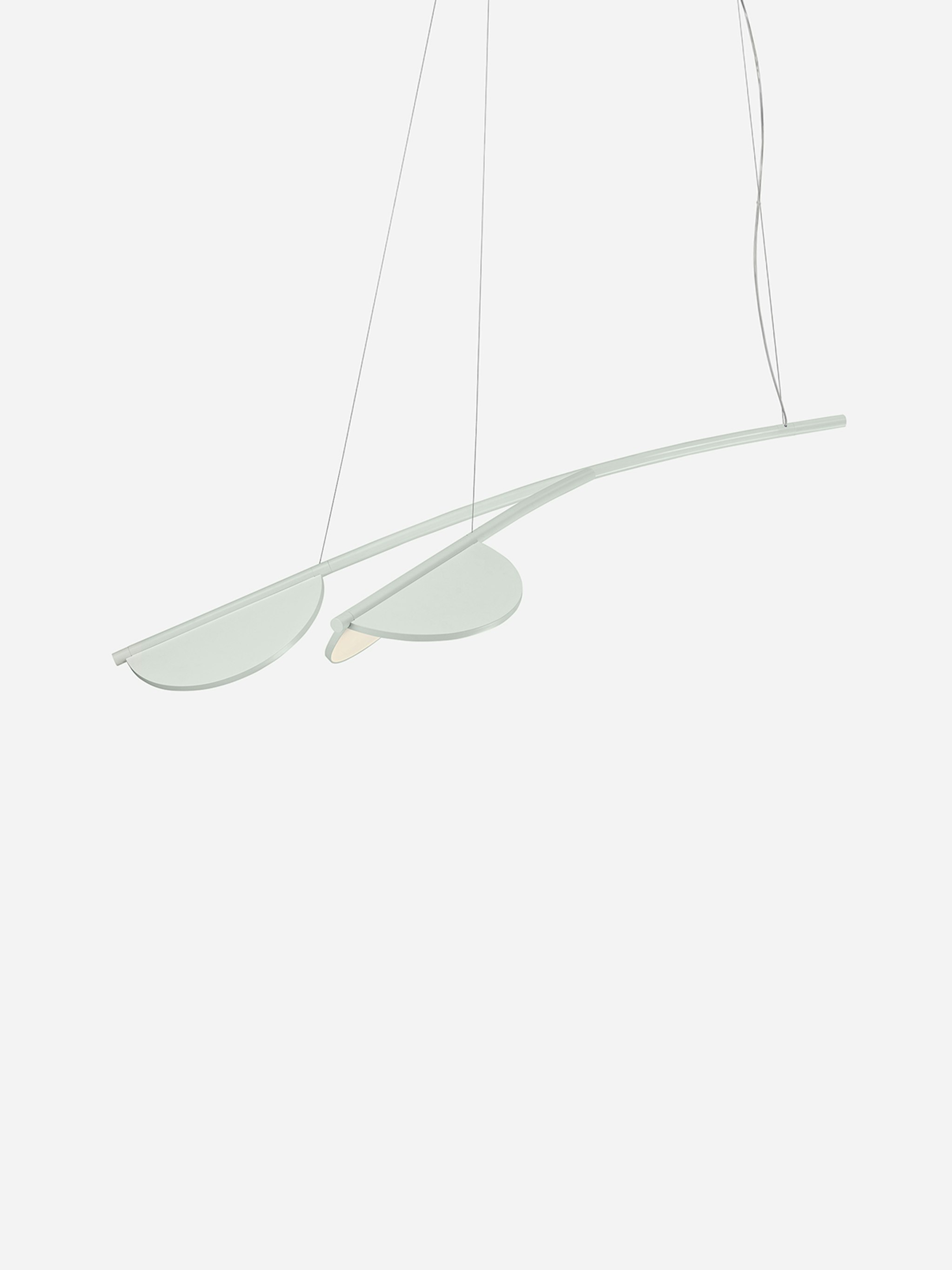 P_Sf_AV-Almendra-Flos-Decorative-Thubnail-life_over_grey.jpg