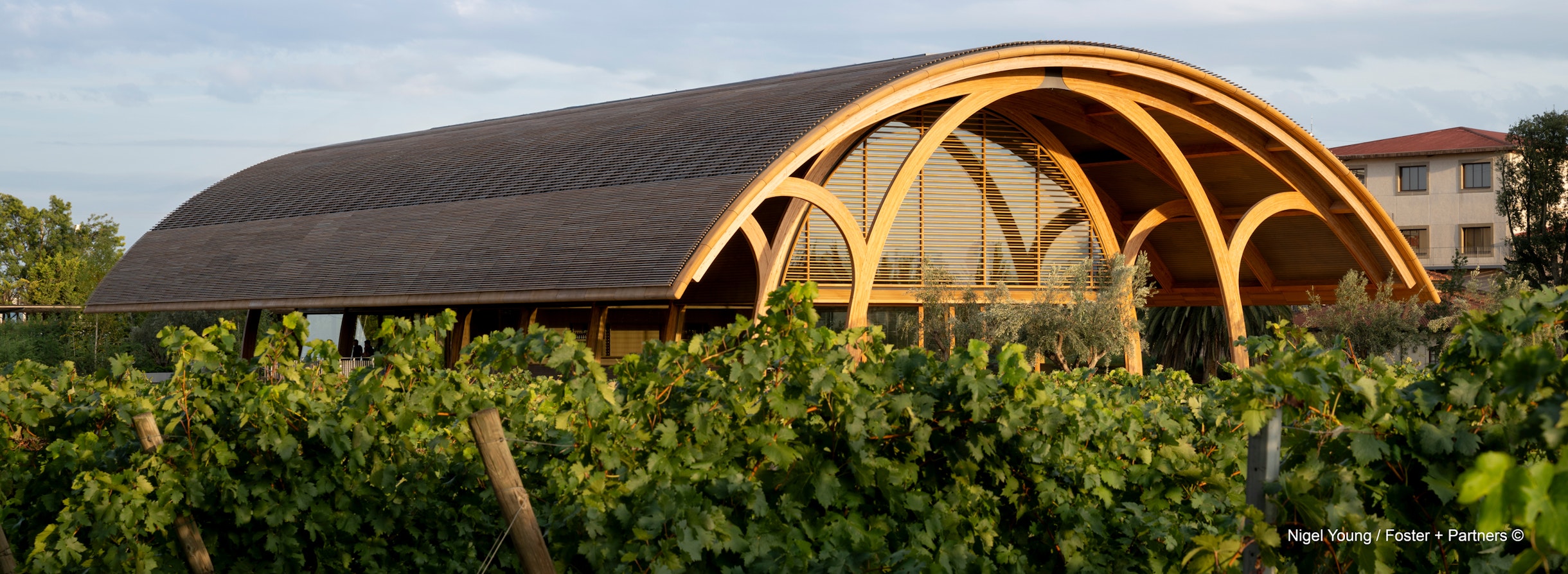 Projects-Flos-Bodegas_Faustino-Spain-01