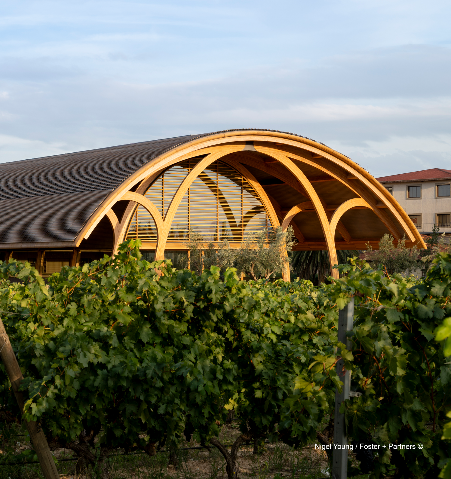 Projects-Flos-Bodegas_Faustino-Spain-02