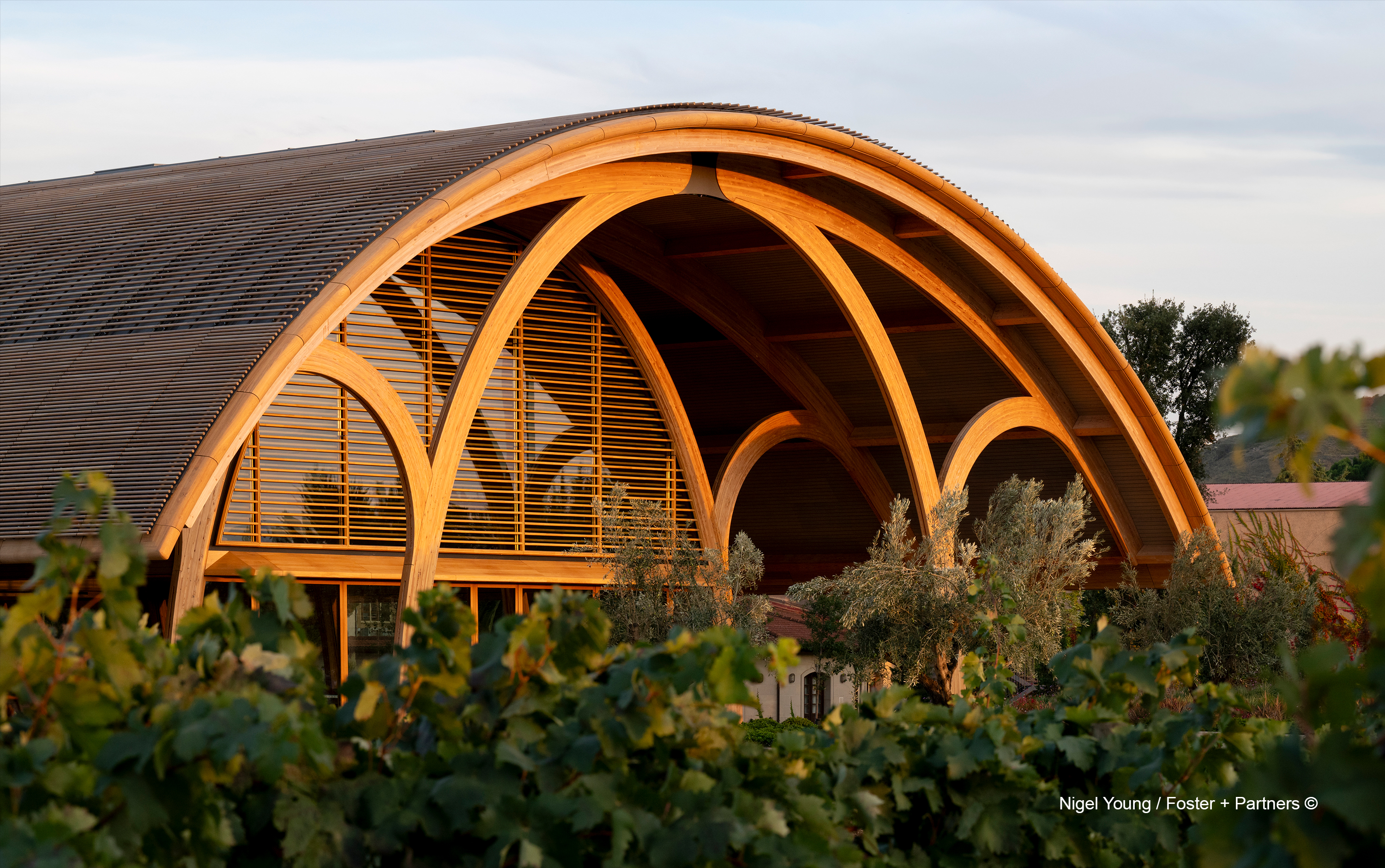 Projects-Flos-Bodegas_Faustino-Spain-04_1