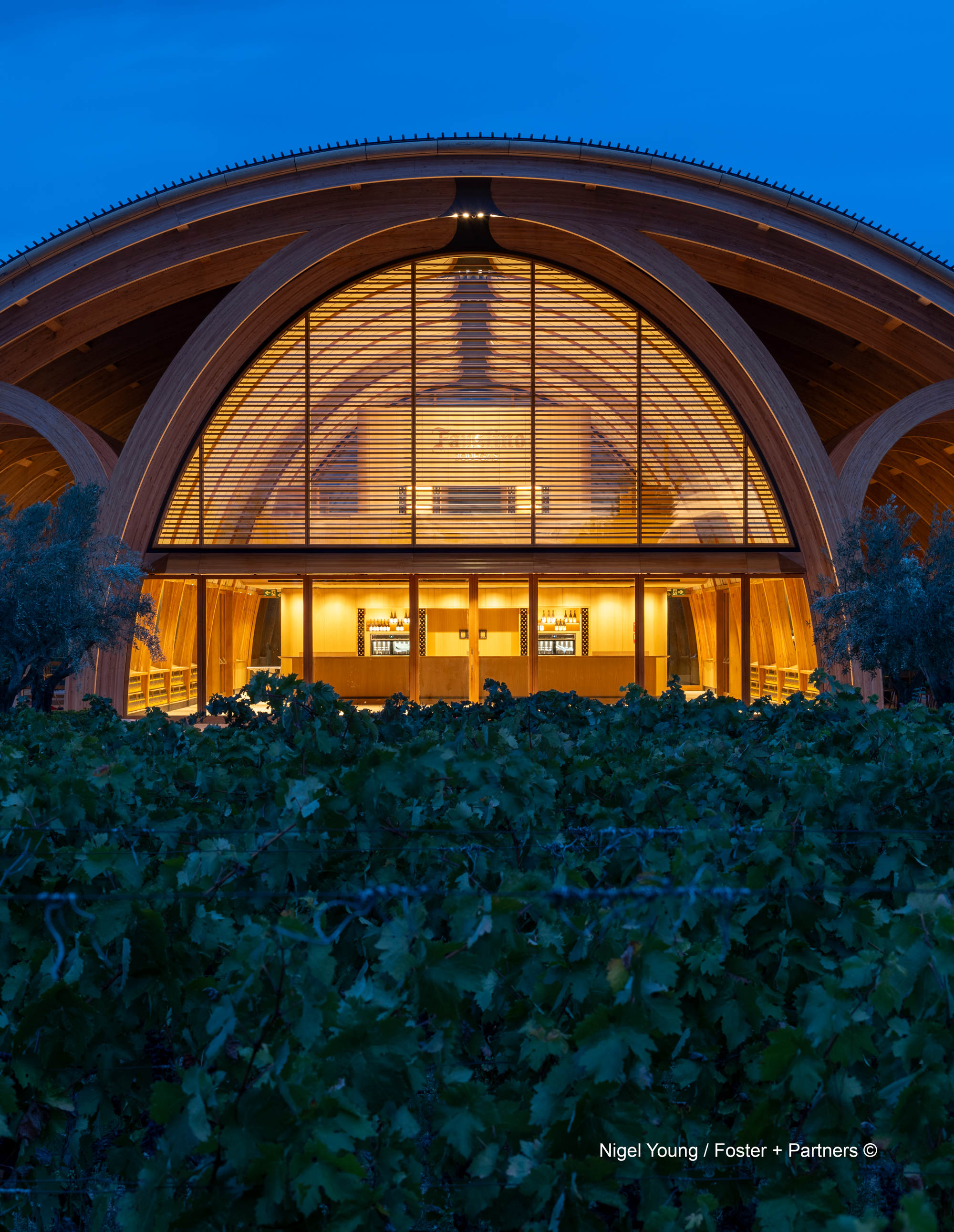 Projects-Flos-Bodegas_Faustino-Spain-05