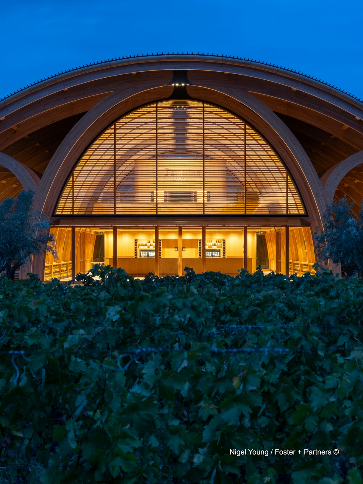 Projects-Flos-Bodegas_Faustino-Spain-05