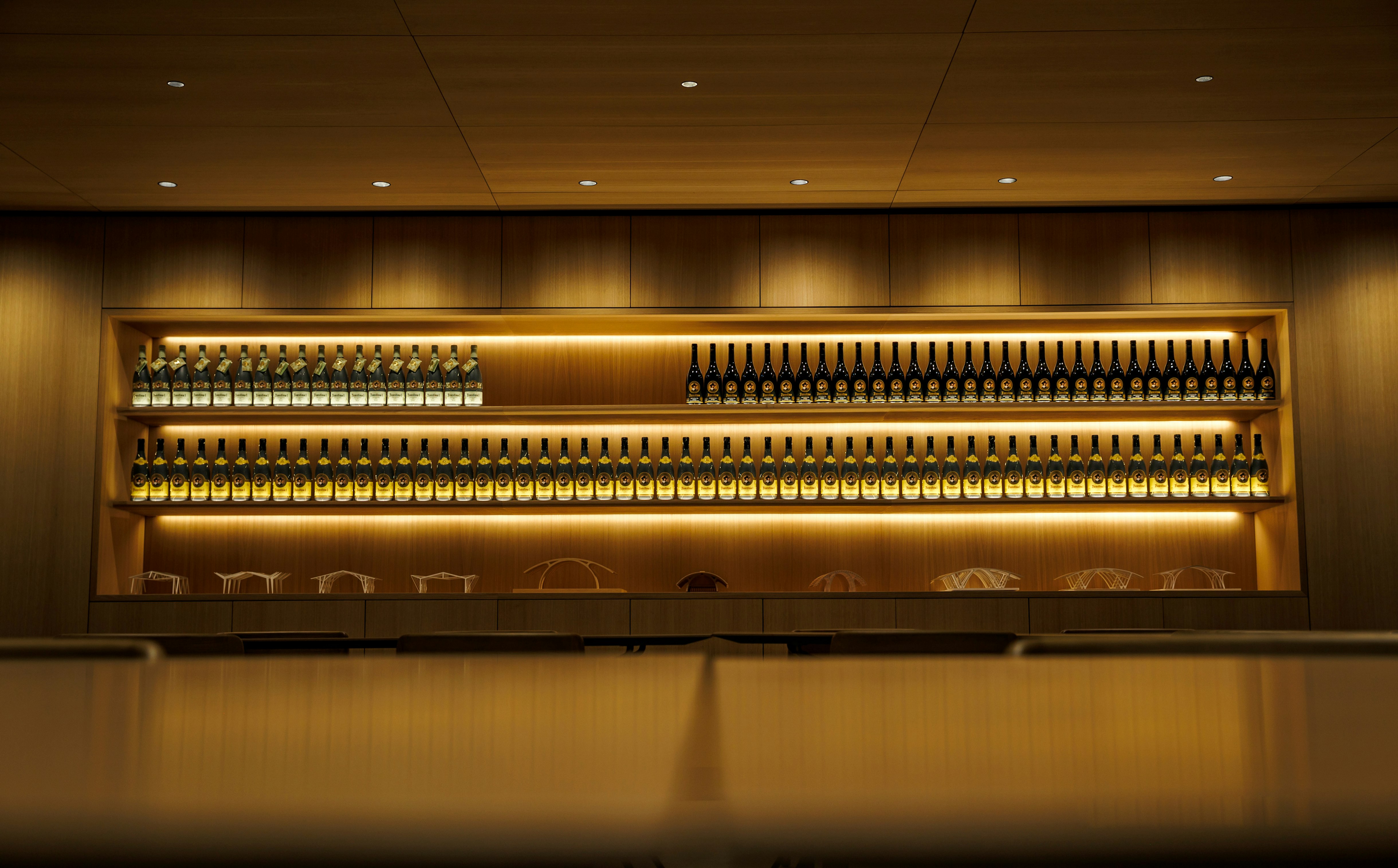 Projects-Flos-Bodegas_Faustino-Spain-08B
