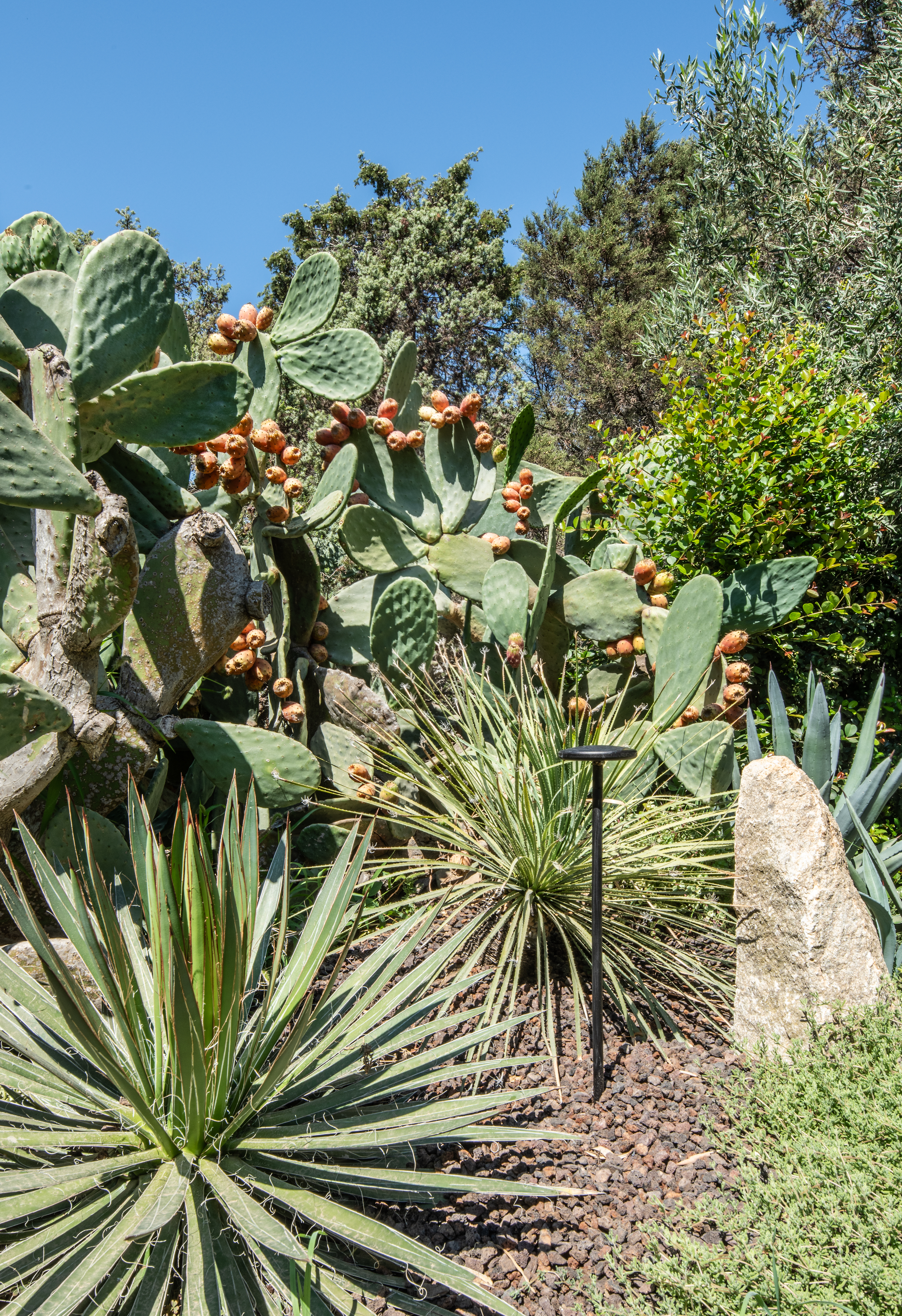 Projects-Flos-Sardinia-04