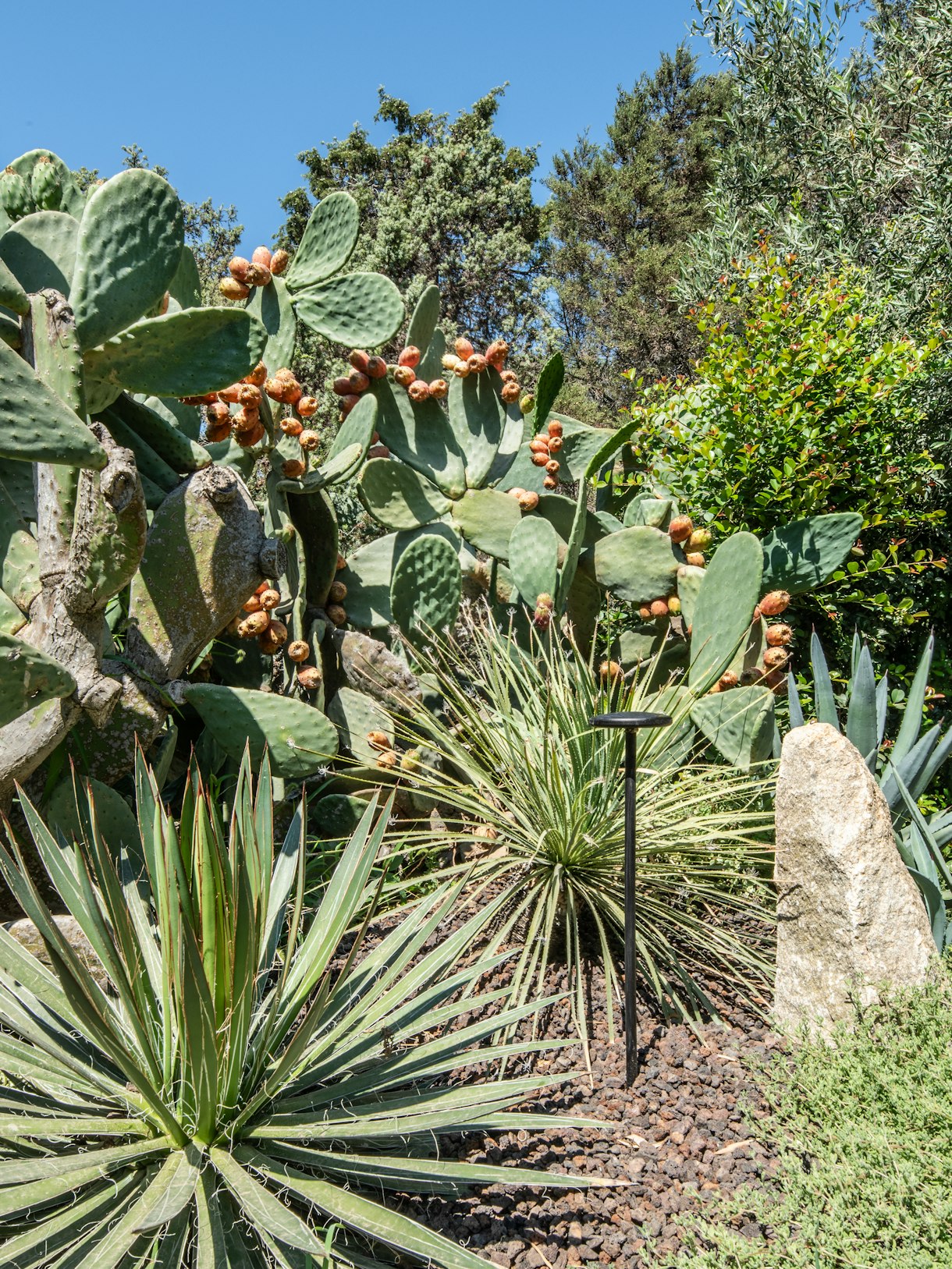 Projects-Flos-Sardinia-04