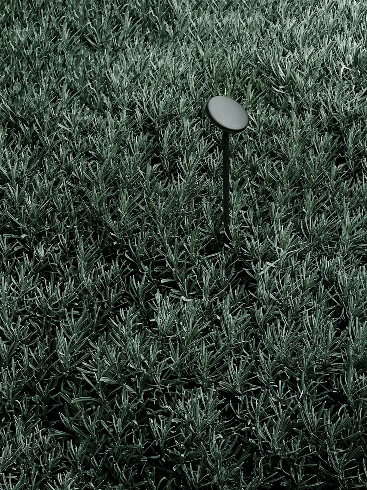 Landlord-bollard-flos-outdoor-R-09.jpg