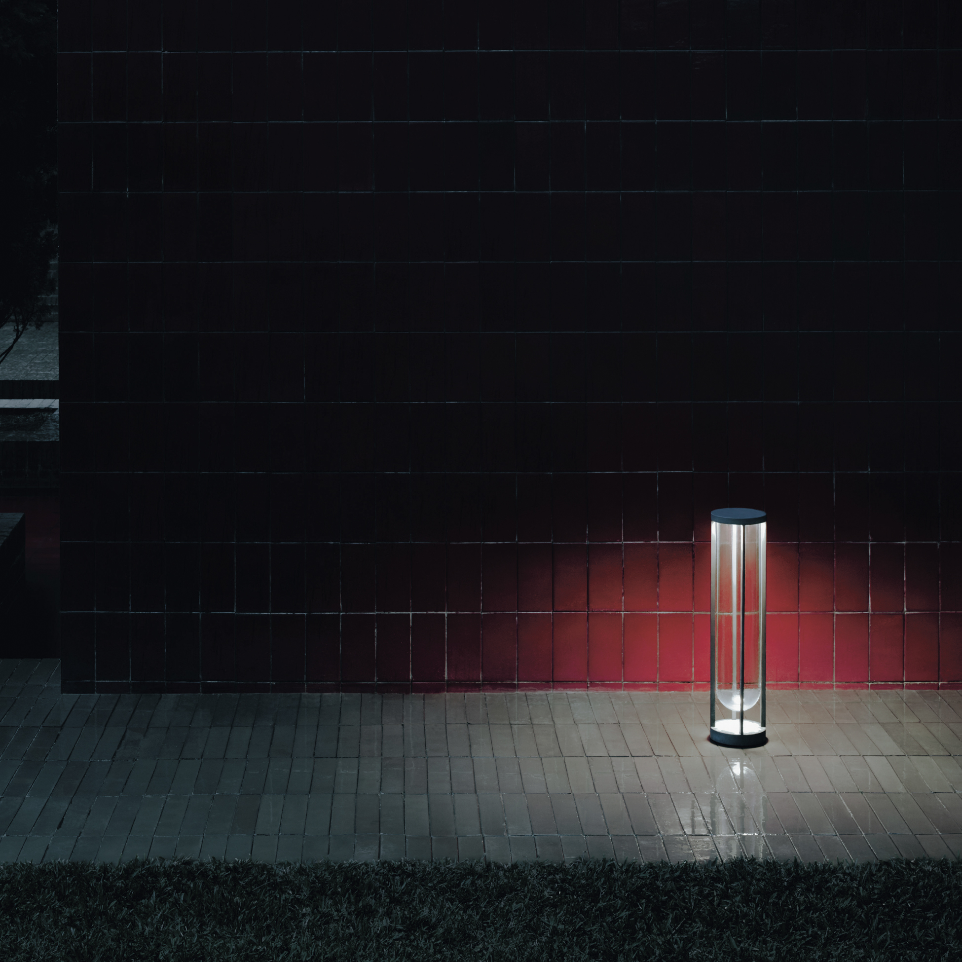 P_Fm_A-In-Vitro-Flos-Outdoor-Thubnail-life.jpg
