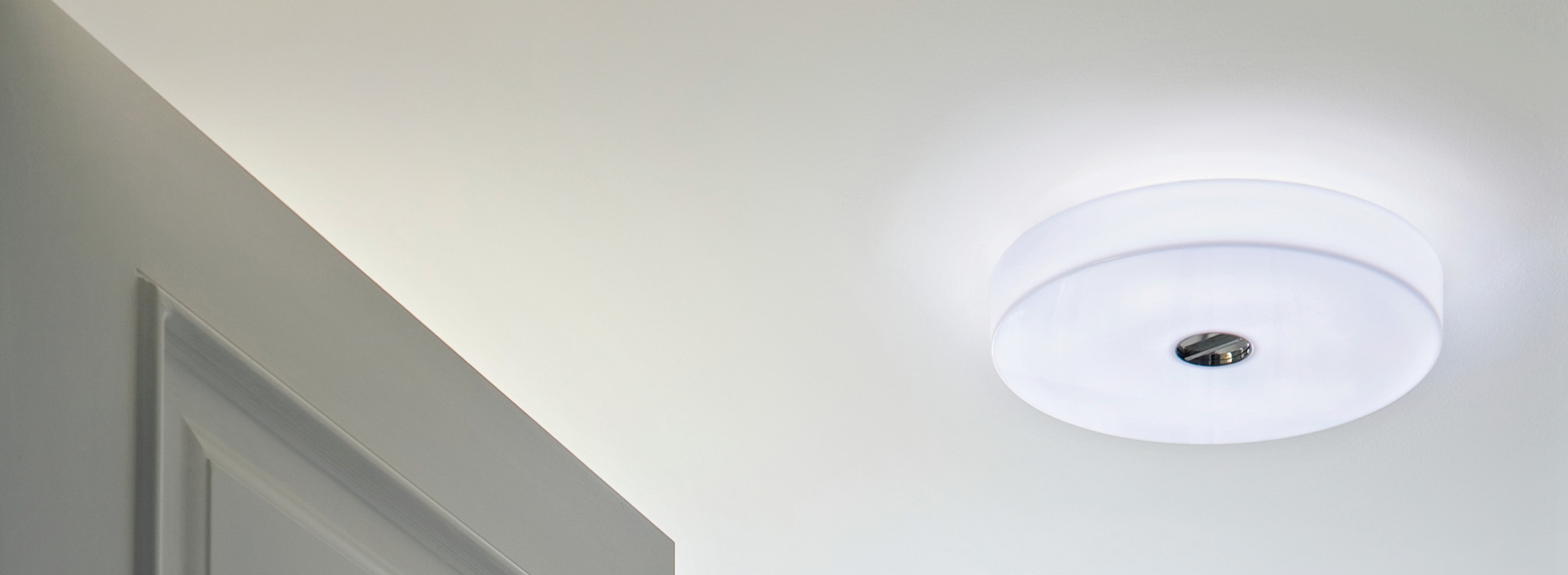 P_Fm_B-Button-Flos-Decorative-life.jpg