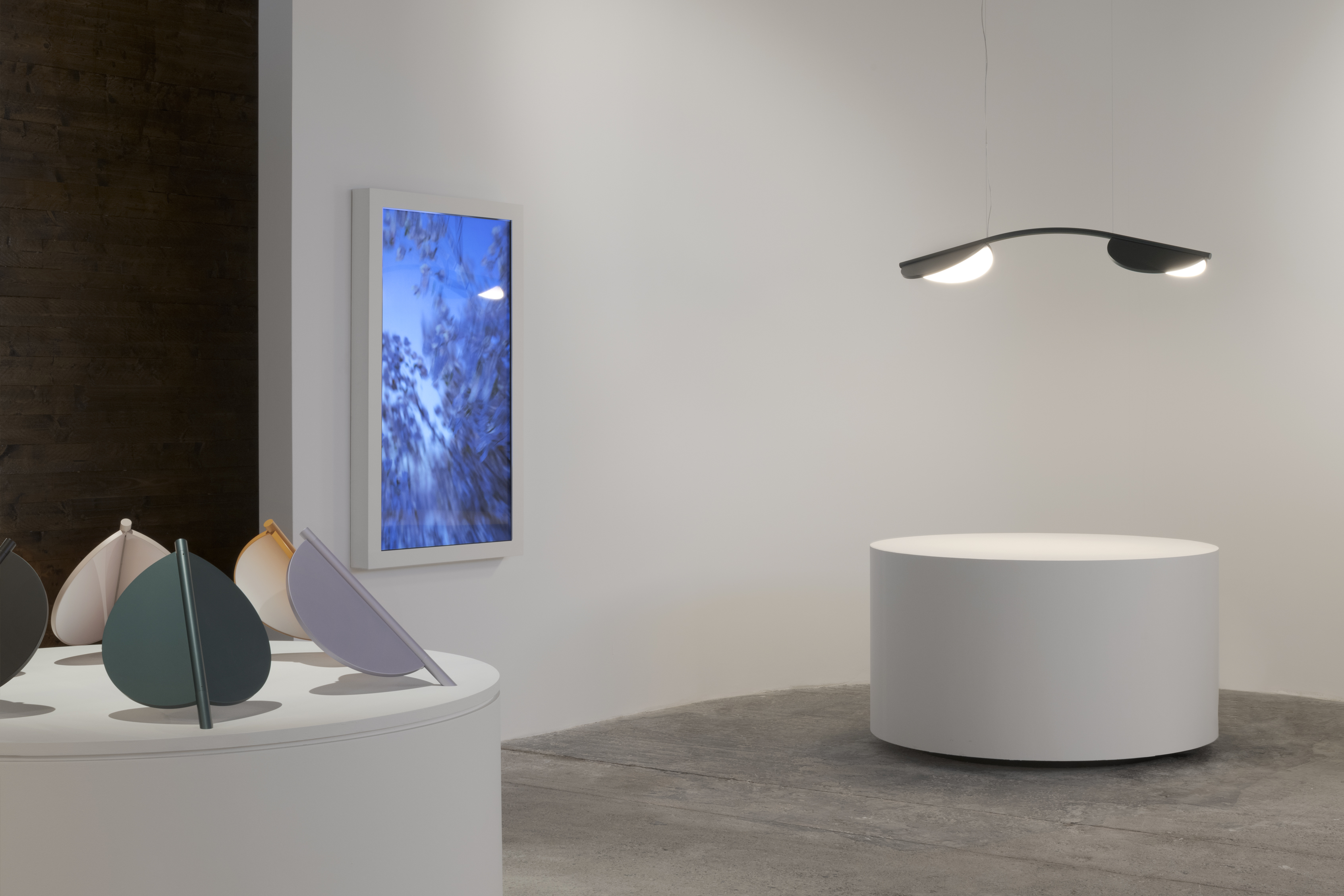 stories-Orobia15-2022-flos-11B