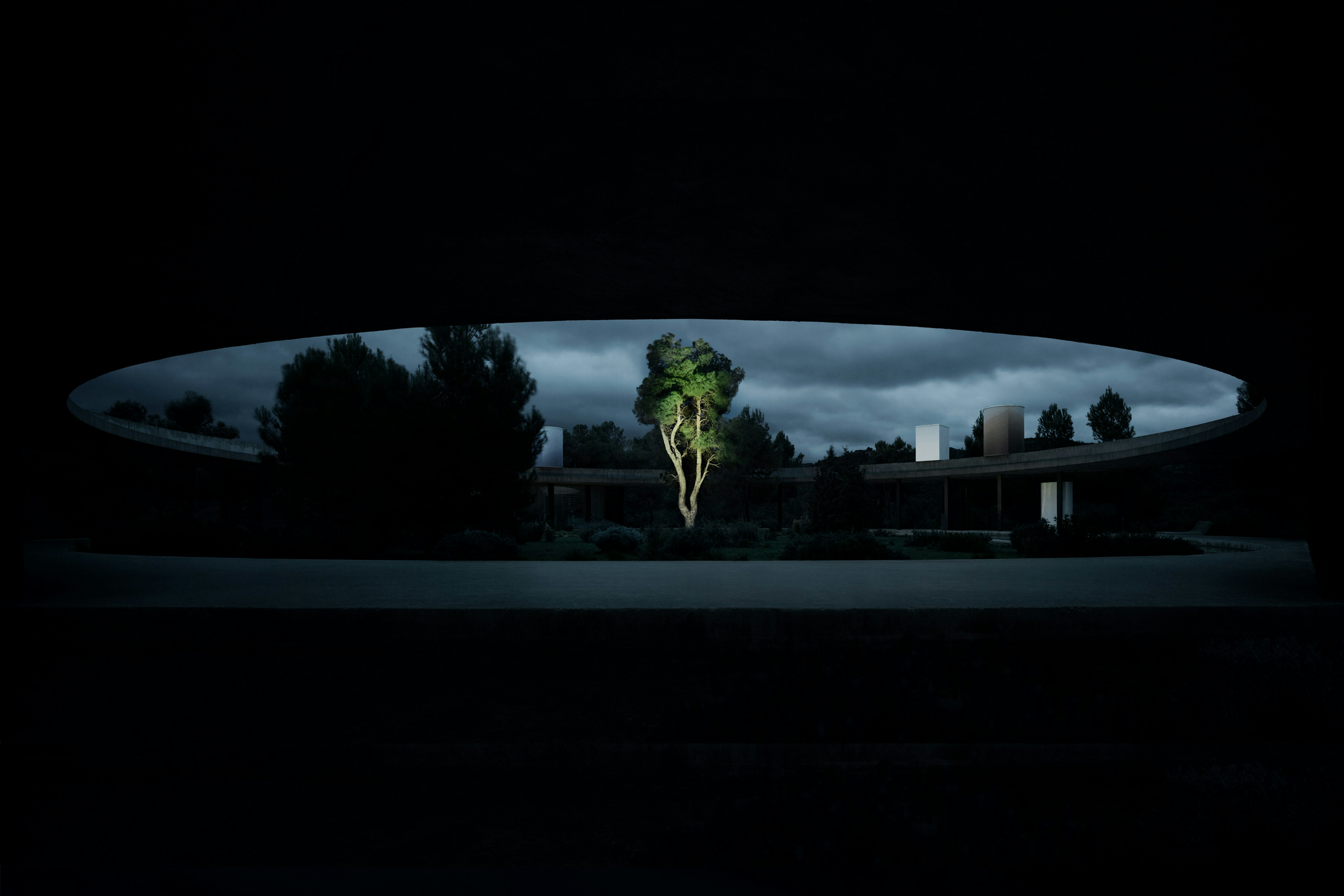 stories-Spine-flos-04