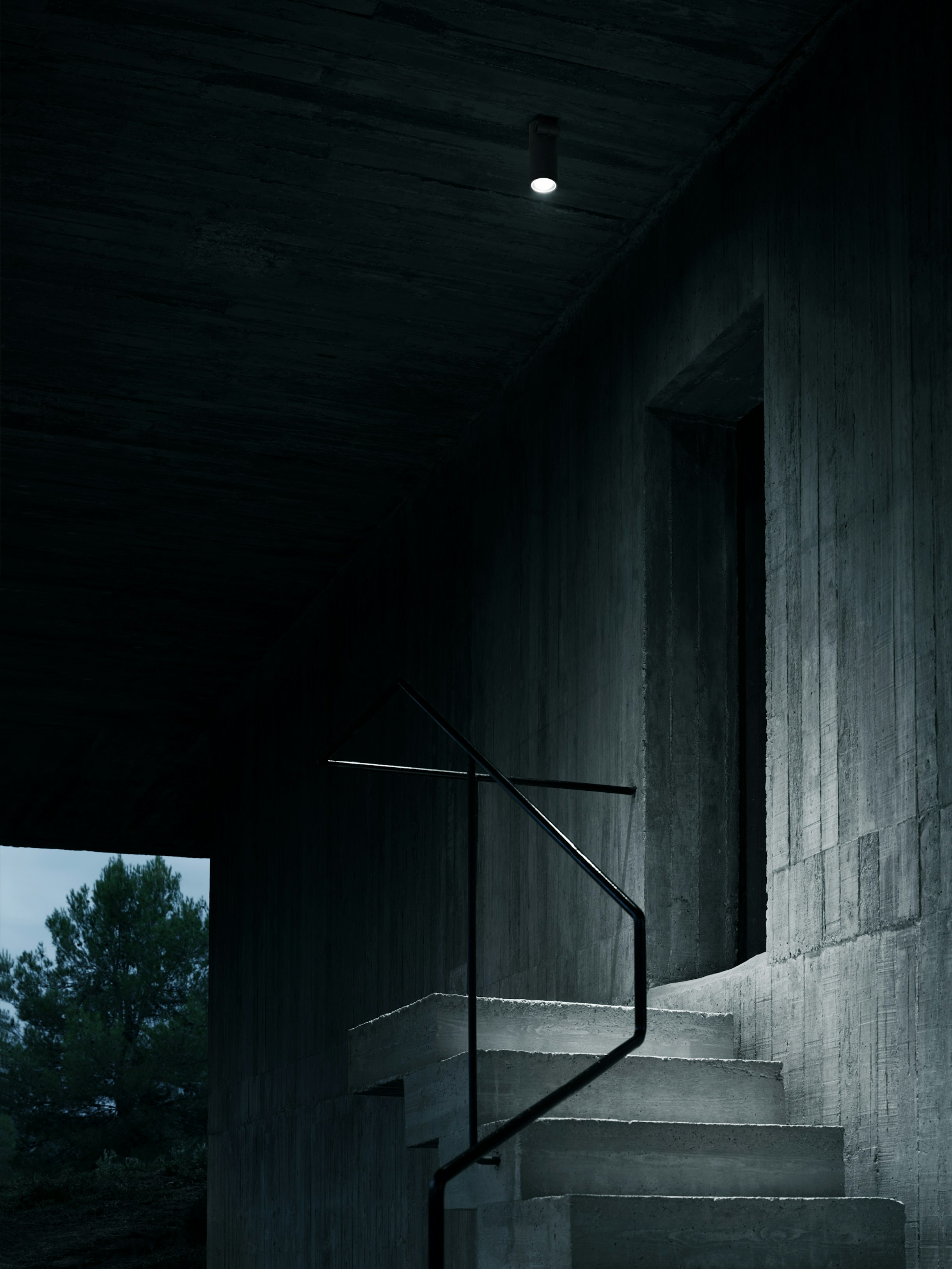 stories-Spine-flos-18