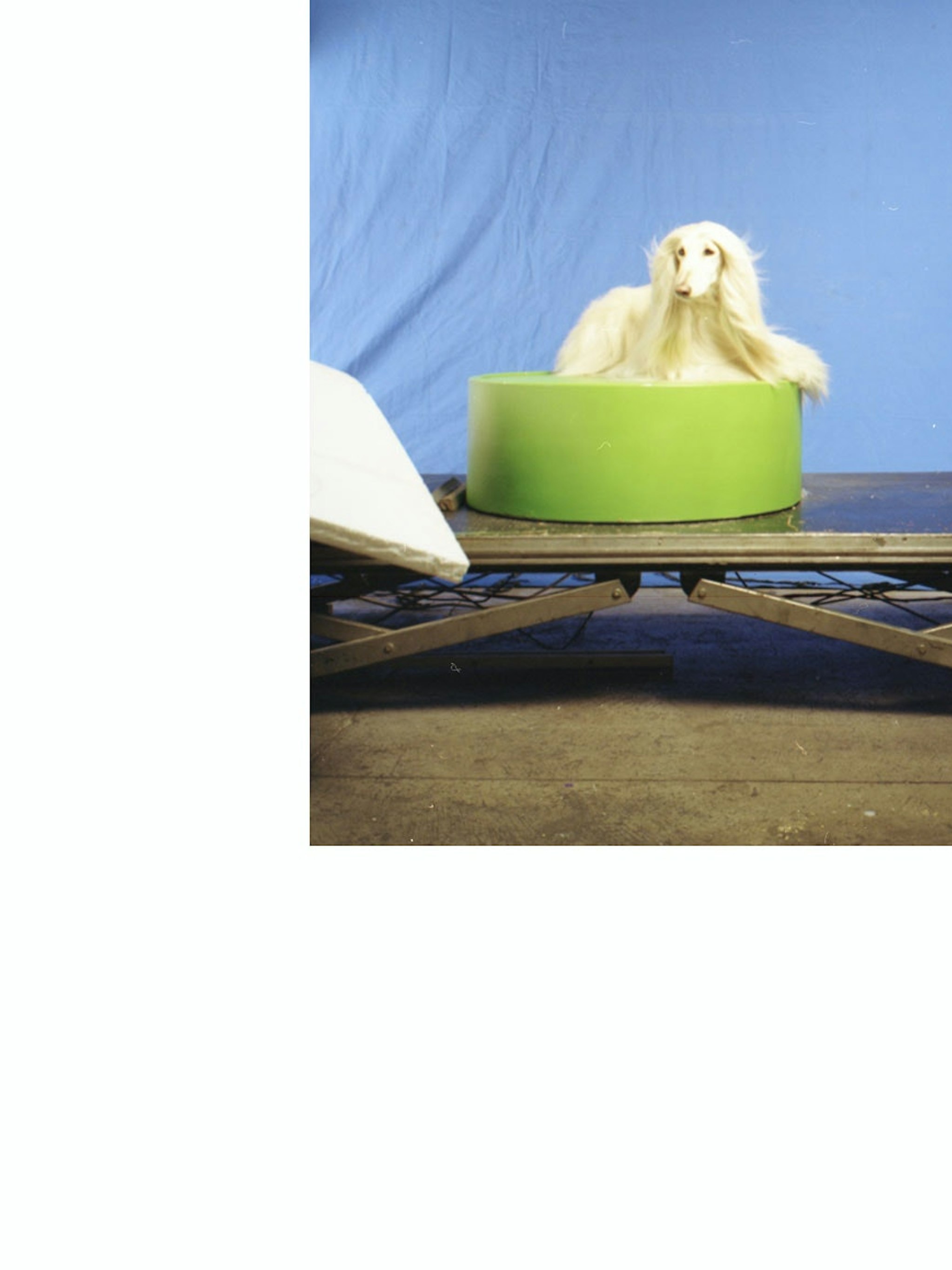 stories-la-plus-belle-shop-flos-07b